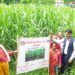 Farmers
