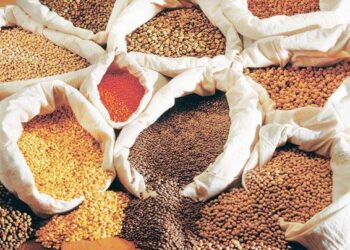 Exports
