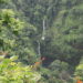 Gauri Khola waterfall in Chitwan in the darkness