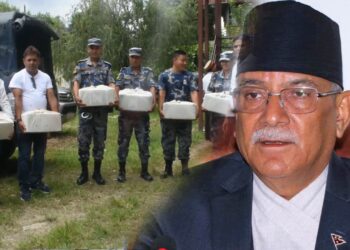 Prachanda 100 Gold