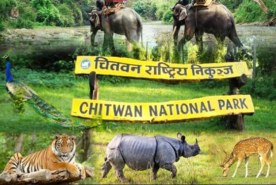 Zoo to be constructed alongside Wildlife Rescue Centre in Chitwan
