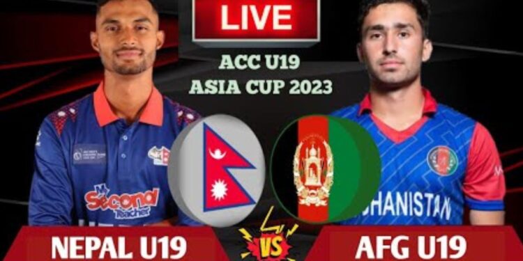 Icc cricket u19 nepal