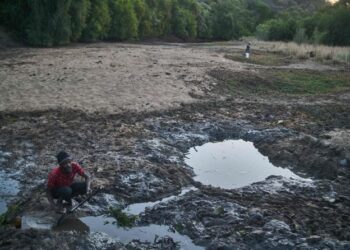 UN forecasts La Nina could help lower temperatures this year