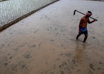 Climate Change Makes India’s Monsoons Erratic