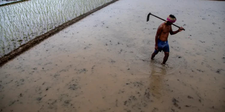 Climate Change Makes India’s Monsoons Erratic