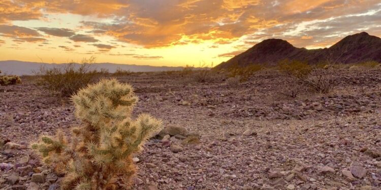 Extreme Heat In Western Us, 'death Valley' Temperatures Expected To Reach 130 Degrees Fahrenheit