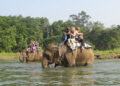 Tourist Arrival Up In Chitwan National Park