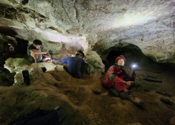 Indonesia, cave art, Sulawesi, ancient painting, figurative art, Griffith University, Maxim Obeyer, Agus Octavian, rock art, human evolution, creative thinking, archaeology