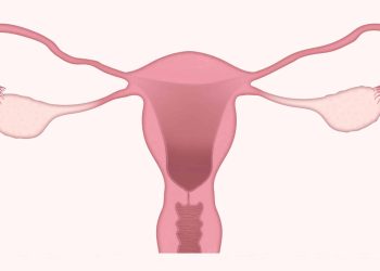 11 Causes Of Uterine Prolapse And 9 Ways To Prevent It Dd